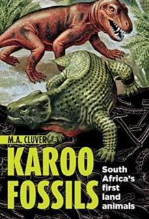 Karoo Fossils South Africaâs First Land Animals