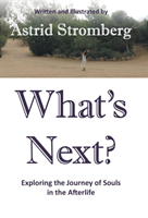 What's Next? Exploring the Journey of Souls