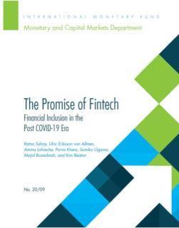 promise of Fintech financial inclusion in the post COVID-19 era