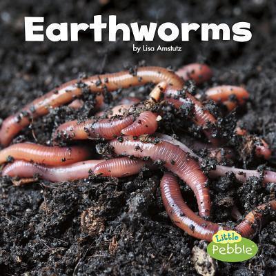 Earthworms (Little Critters) 