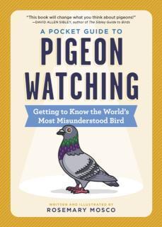 Pocket Guide to Pigeon Watching Getting to Know the World's Most Misunderstood Bird