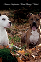 American Staffordshire Terrier February Notebook American Staffordshire Terrier Record, Log, Diary, 