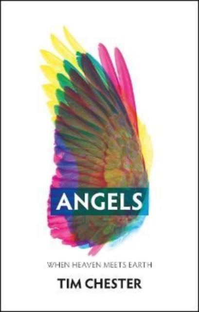 Angels When Heaven Meets Earth