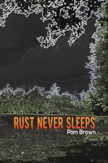 Rust Never Sleeps 