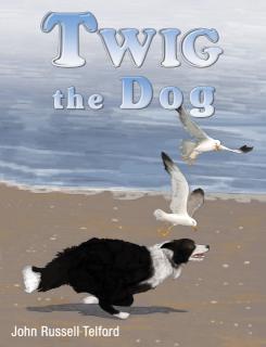 Twig the Dog 