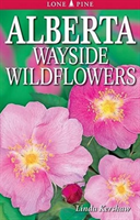 Alberta Wayside Wildflowers 