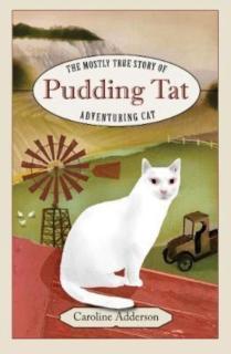 Mostly True Story of Pudding Tat, Adventuring Cat 