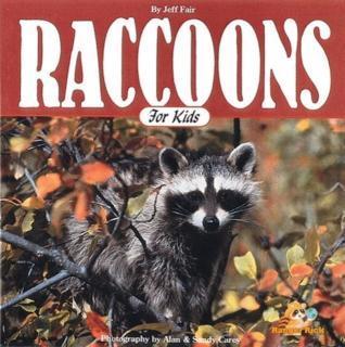 Raccoons for Kids 