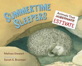 Summertime Sleepers Animals That Estivate