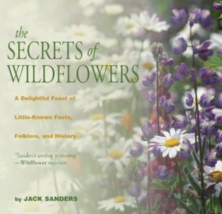 Secrets of Wildflowers A Delightful Feast of Little-k
