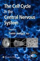 Cell Cycle in the Central Nervous System 