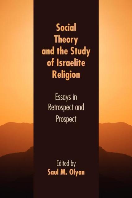 Social Theory and the Study of Israelite Religion Essays in Retrospect and Prosp