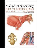 Atlas of Feline Anatomy For Veterinarians 