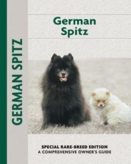 German Spitz 