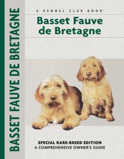 Basset Fauve De Bretagne 