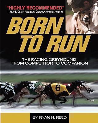 Born to Run Racing Greyhound, from Competi