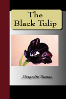 Black Tulip 