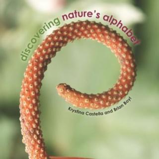 Discovering Nature's Alphabet 