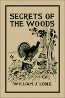 Secrets of the Woods 