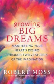 Growing Big Dreams Manifesting Your Heart's Desires Through Twelve Secrets of the Imagination