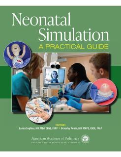 Neonatal Simulation A Practical Guide