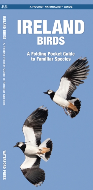 Ireland Birds A Folding Pocket Guide to Familiar Species