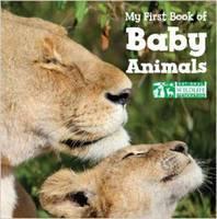 My First Book of Baby Animals (National Wildlife Federation) 