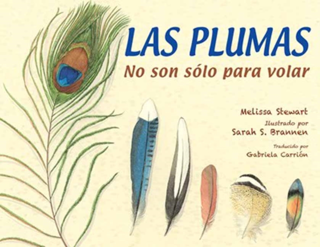 Las plumas No son solo para volar