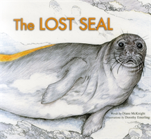 Lost Seal 