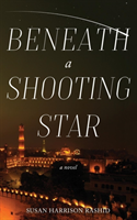 Beneath a Shooting Star 
