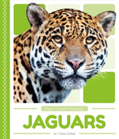 Jaguars 