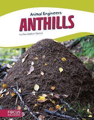 Animal Engineers: Anthills 