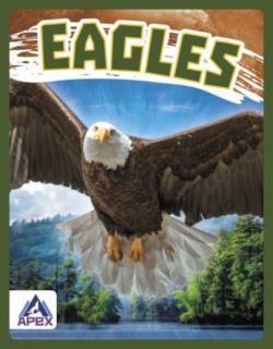 Eagles 