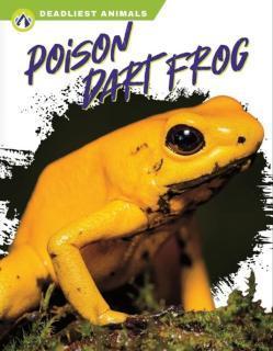 Poison Dart Frog 