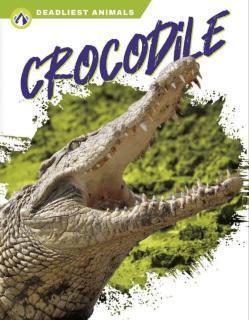 Crocodile 