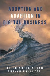Adoption and Adaption in Digital Business 