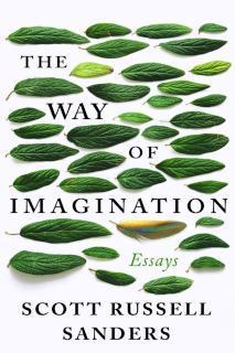 Way of Imagination Essays