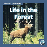 Life in the Forest 
