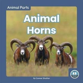Animal Horns 