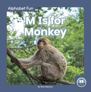 M Is for Monkey 