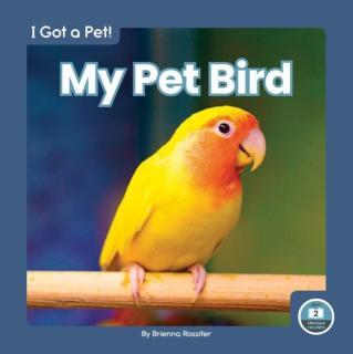 My Pet Bird 