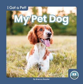 My Pet Dog 