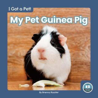 My Pet Guinea Pig 
