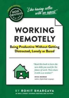 Non-Obvious Guide to Working Remotely (Being Productive Without Getting Distracted, Lonely or Bored) 
