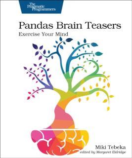 Pandas Brain Teasers Exercise Your Mind