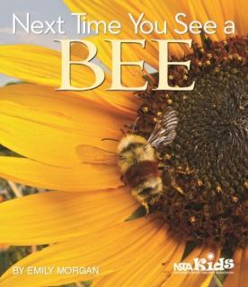 Next Time You See a Bee 