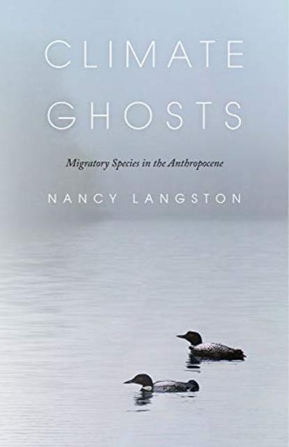 Climate Ghosts â Migratory Species in the Anthropocene 