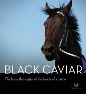 Black Caviar The Horse That Captured the He