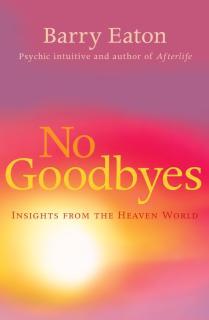No Goodbyes Insights From the Heaven World
