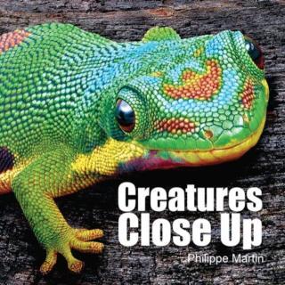 Creatures Close Up 